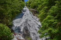 新緑の中の湯滝