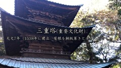 西明寺三重塔