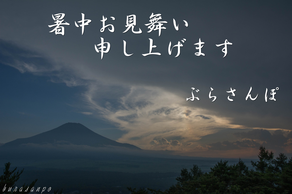 暑中お見舞い申し上げます。