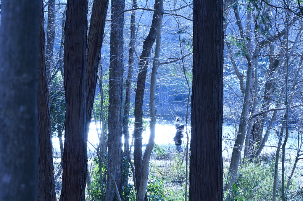 「井頭公園」林間