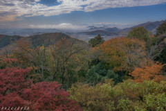 太平山の秋