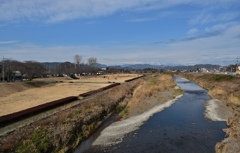永野川緑地公園前景
