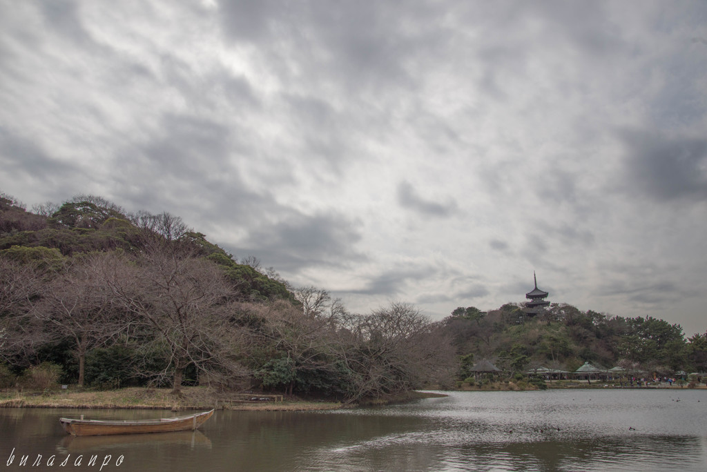 曇天庭園