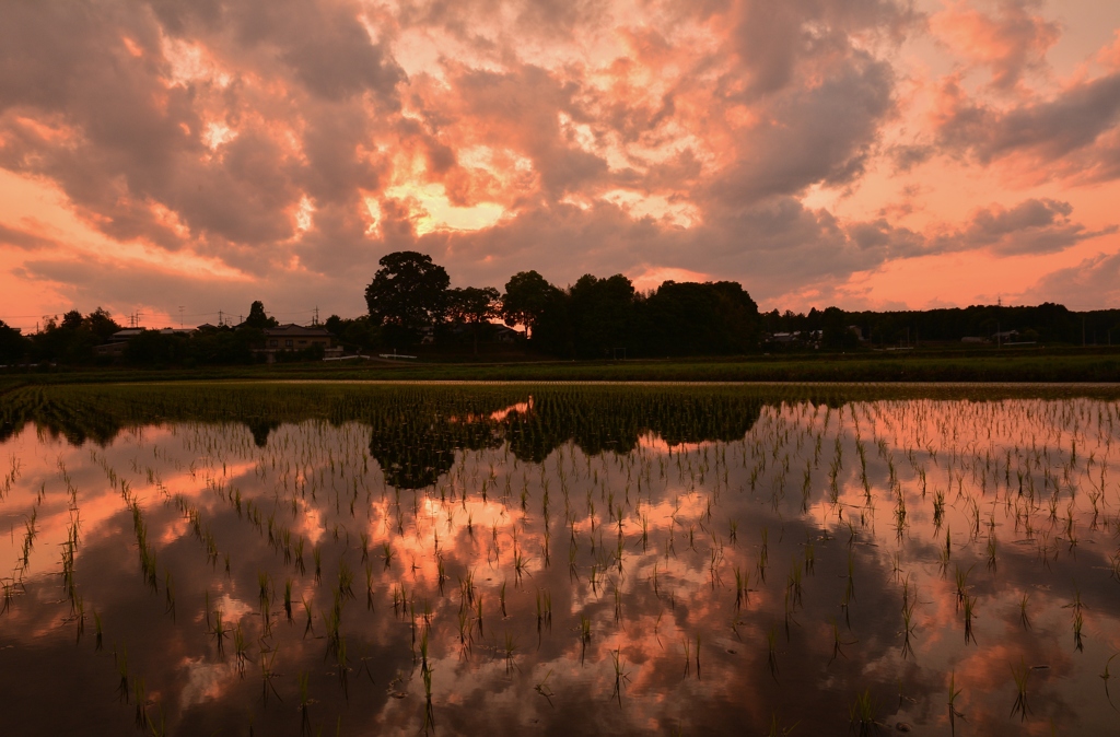 寄り道夕景撮り3