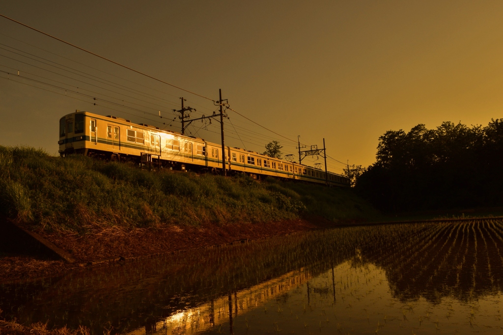 「ギラリ」夕暮電車