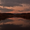 公園散歩締めくくり夕景