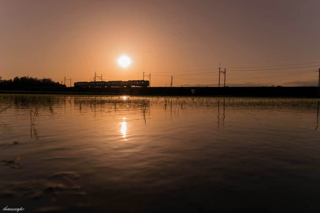 水田を渡る夕暮電車