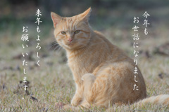 2016ありがとうございました。