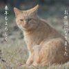 2016ありがとうございました。