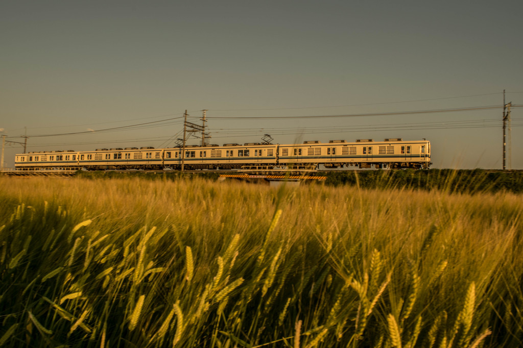 麦を渡る夕暮電車