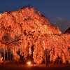 長福寺「枝垂桜」ライトアップ2