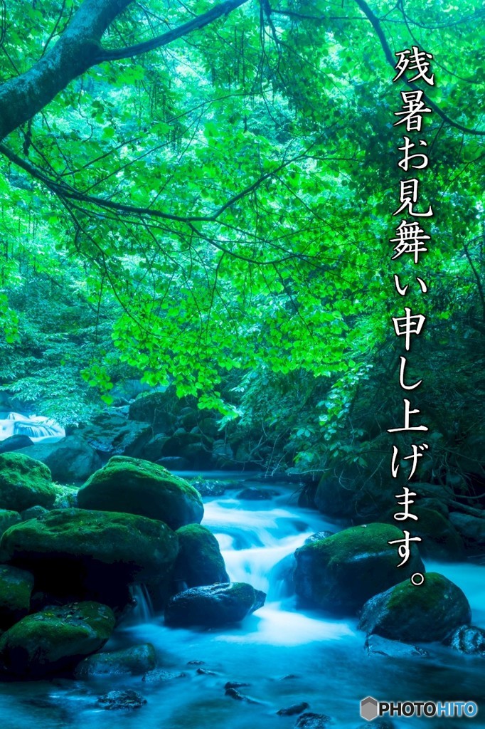 残暑お見舞い申し上げます。