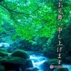 残暑お見舞い申し上げます。