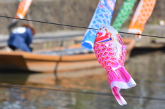 巴波川「鯉のぼりと遊覧船」