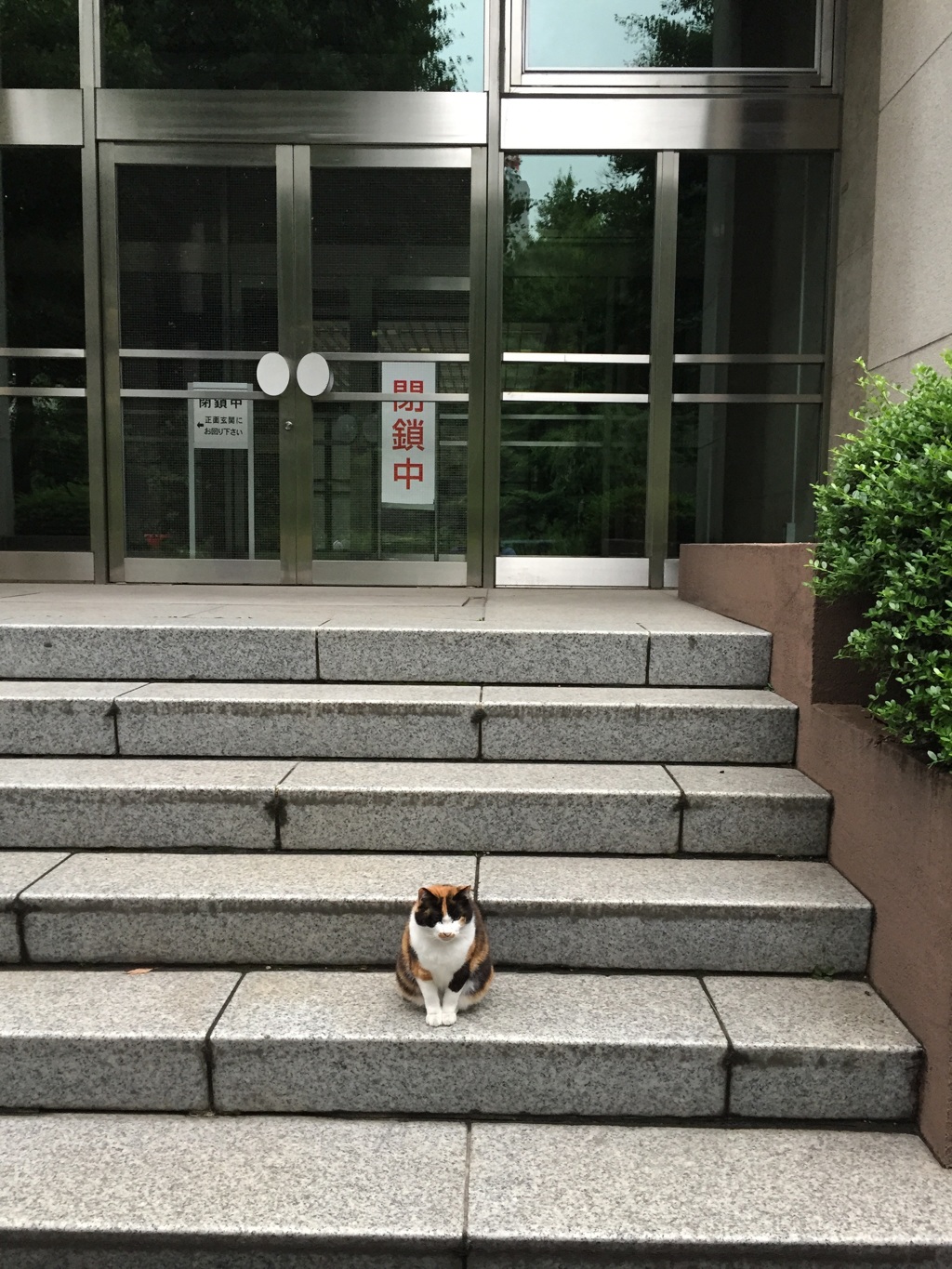 誠に申し訳ございませんが閉鎖中ですm(_ _)m