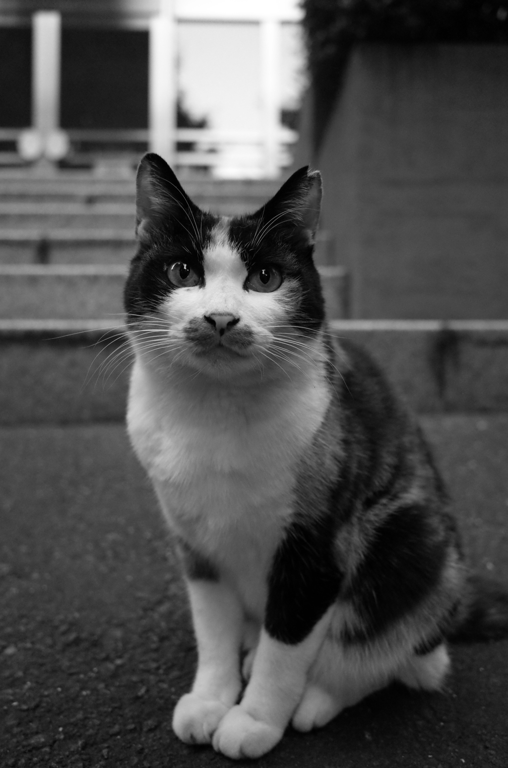 明日から夏休み