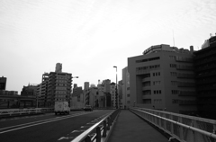 朝