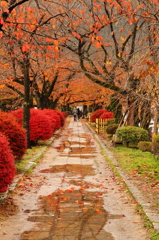 晩秋　京都