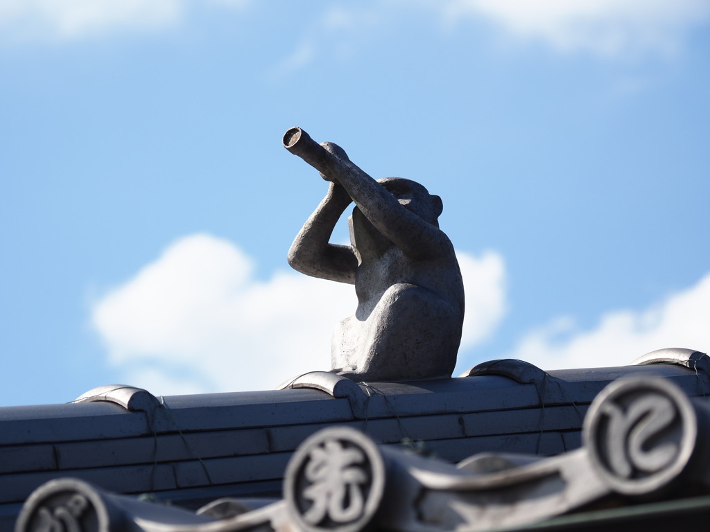 見ざるざる