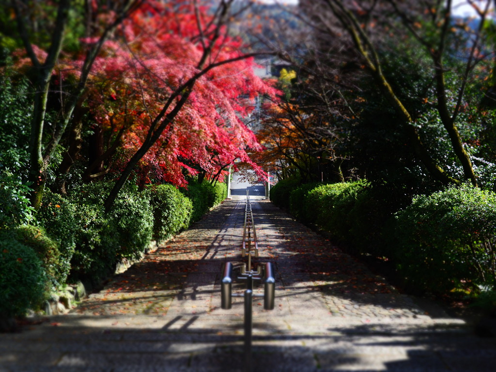 シンメトリーに色添えて