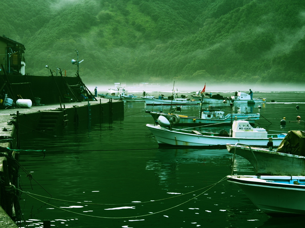 朝霧の漁港２