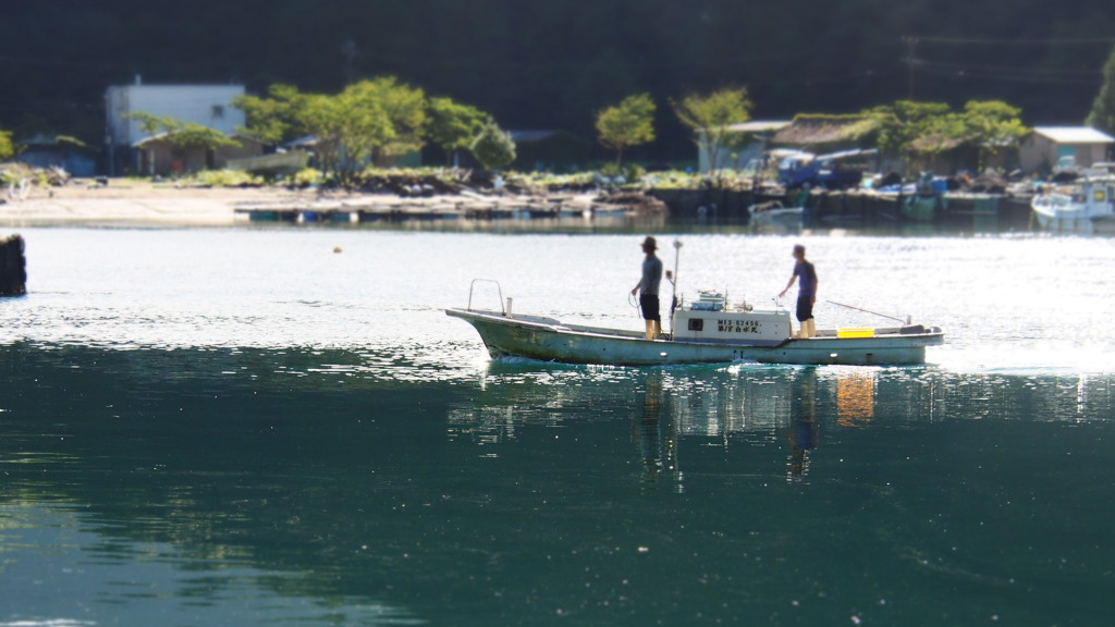 釣果やいかに