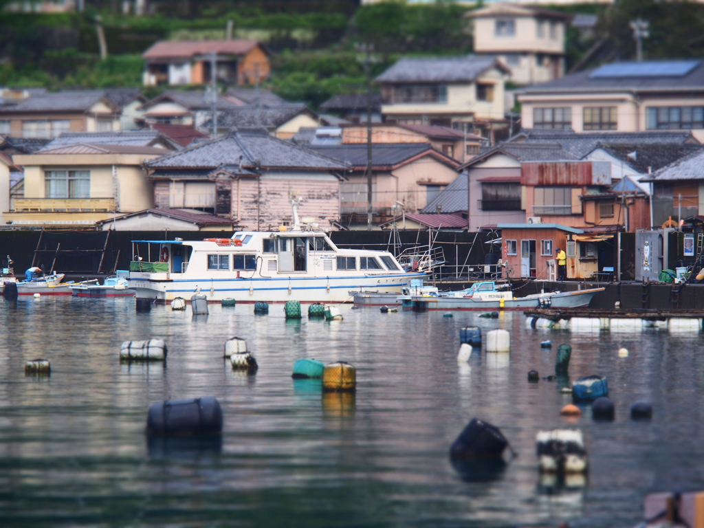 消えゆく航路