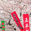 花より
