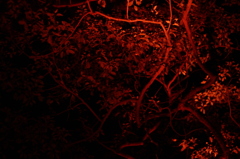 dark red