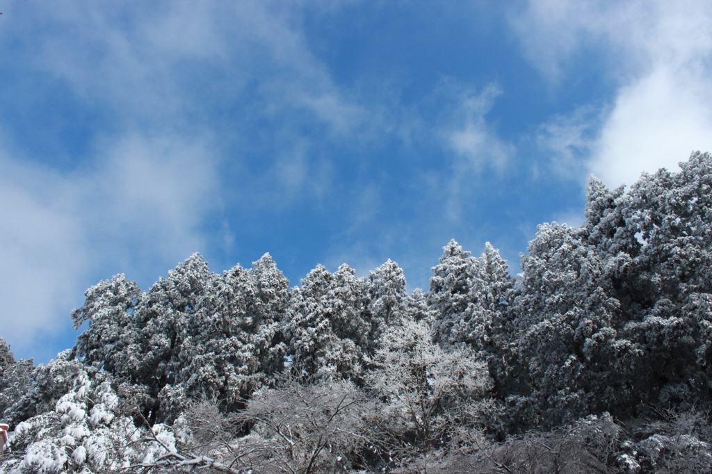 雪山