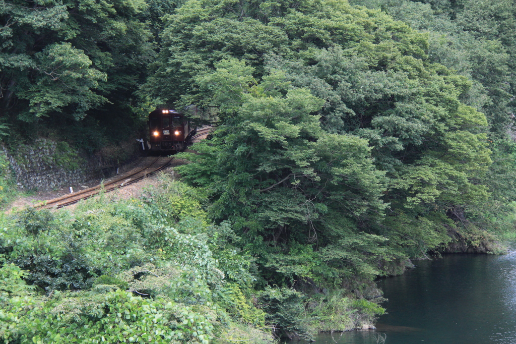 木々のトンネル