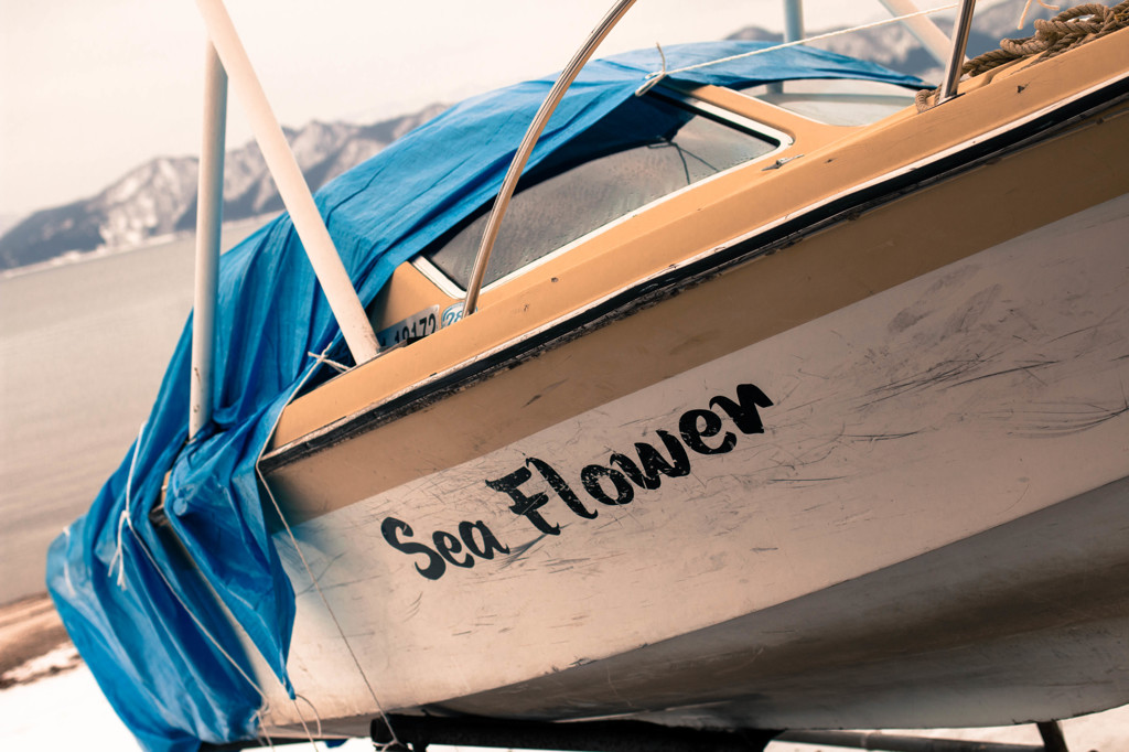 Sea Flower