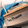 Sea Flower