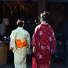 春着