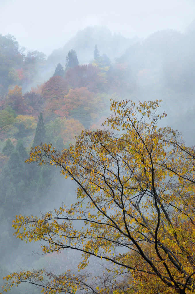 小雨にけむる妙義山で...
