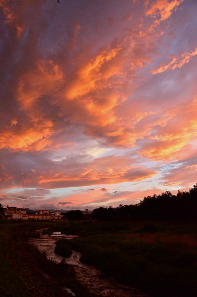 大夕焼け