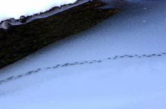 雪解け