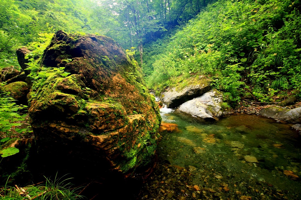 mountain streem