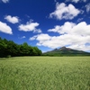 山