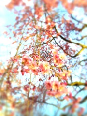 IMG_6146