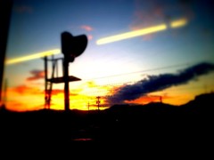 IMG_1270