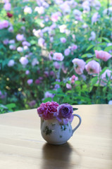 Morning Rose 2