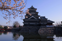 春の松本城1