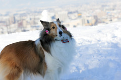 雪の中のポーズ