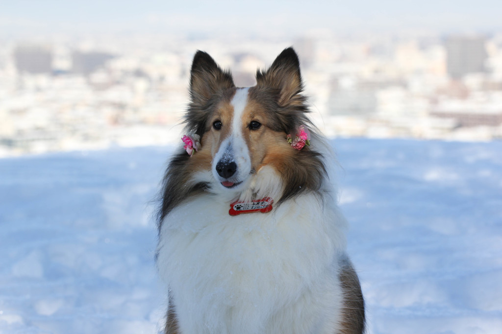雪の中で