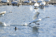 Take off 2