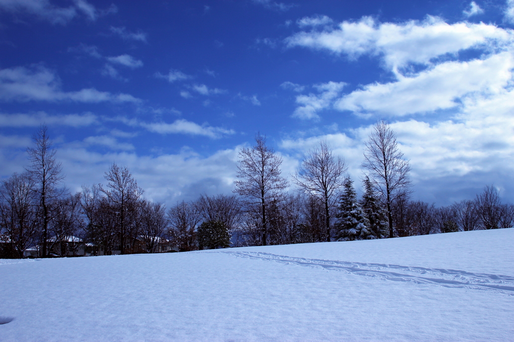 初雪の公園　1