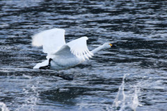 Take off (助走）