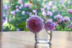 カップの底の花畑