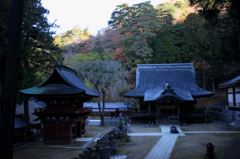 朝の牛伏寺１